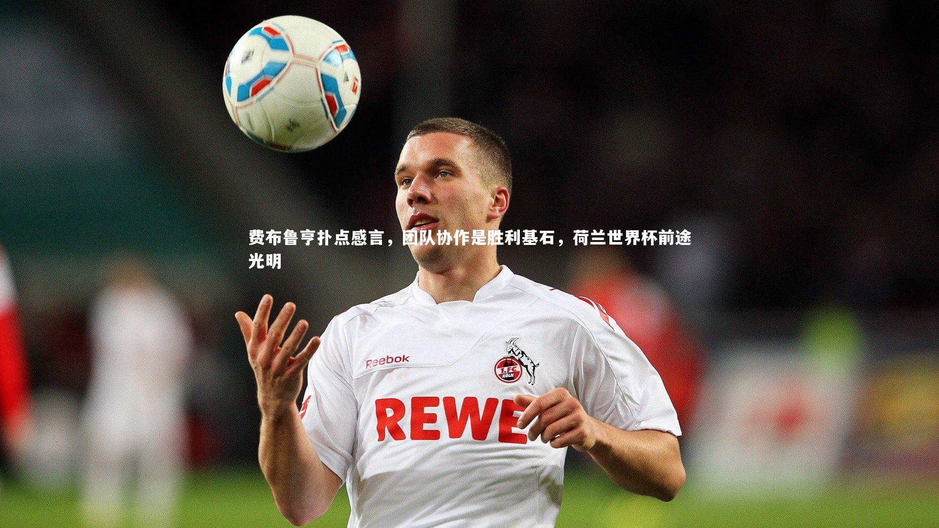 费布鲁亨扑点感言,团队协作是胜利基石,荷兰世界杯前途光明